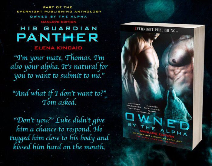 His Guardian Panther by Elena Kincaid from OWNED BY THE ALPHA MANLOVE