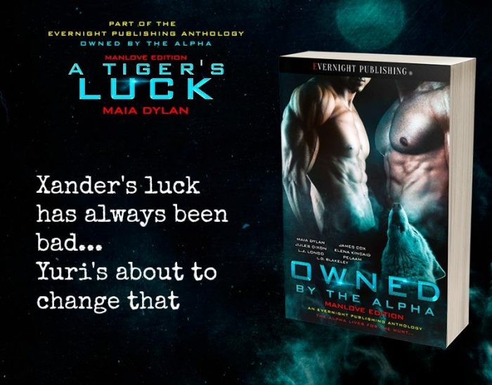 A Tiger's Luck by Maia Dylan from OWNED BY THE ALPHA MANLOVE