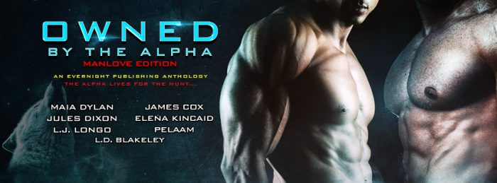 OWNED BY THE ALPHA MANLOVE EDITION: 7 Authors – 7 Questions – 7 Chances to Win!