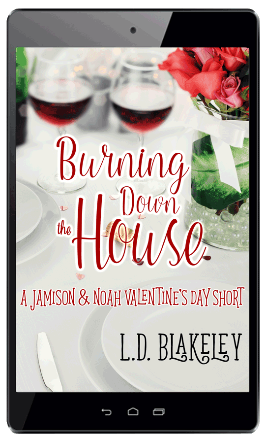 Burning Down the House by L.D. Blakeley on an ereader